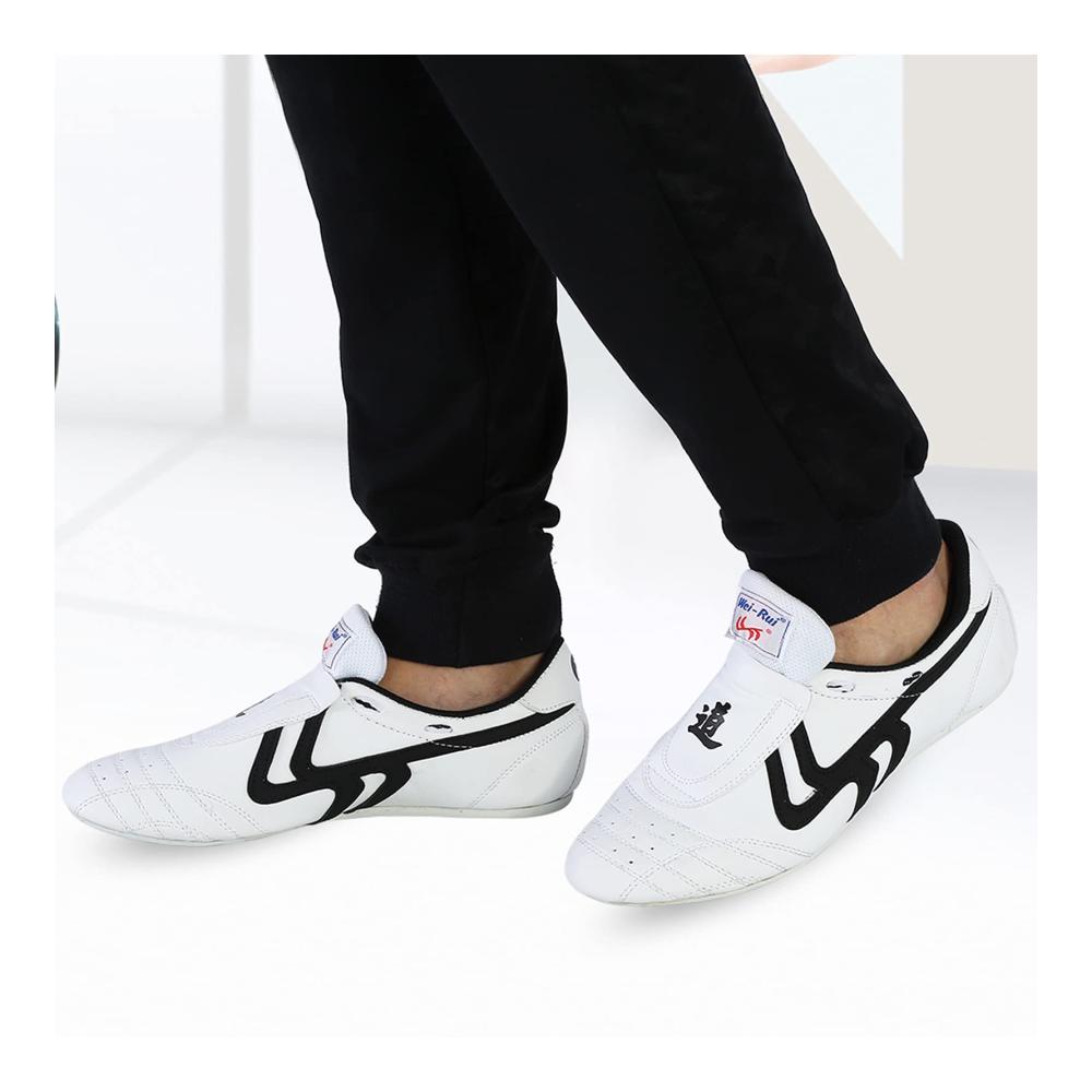 Leichte Kampfsportschuhe für Männer und Frauen - Perfekt für Taekwondo Boxen Kung Fu und Tai Chi (Größe 40