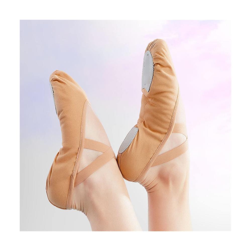 Ballettschuhe Damen und Kinder - Weiche Sohle Professionelle Leinwand Tanztrainingsschuhe für Ballett in Rosa - Größe 35 bis 41 EU