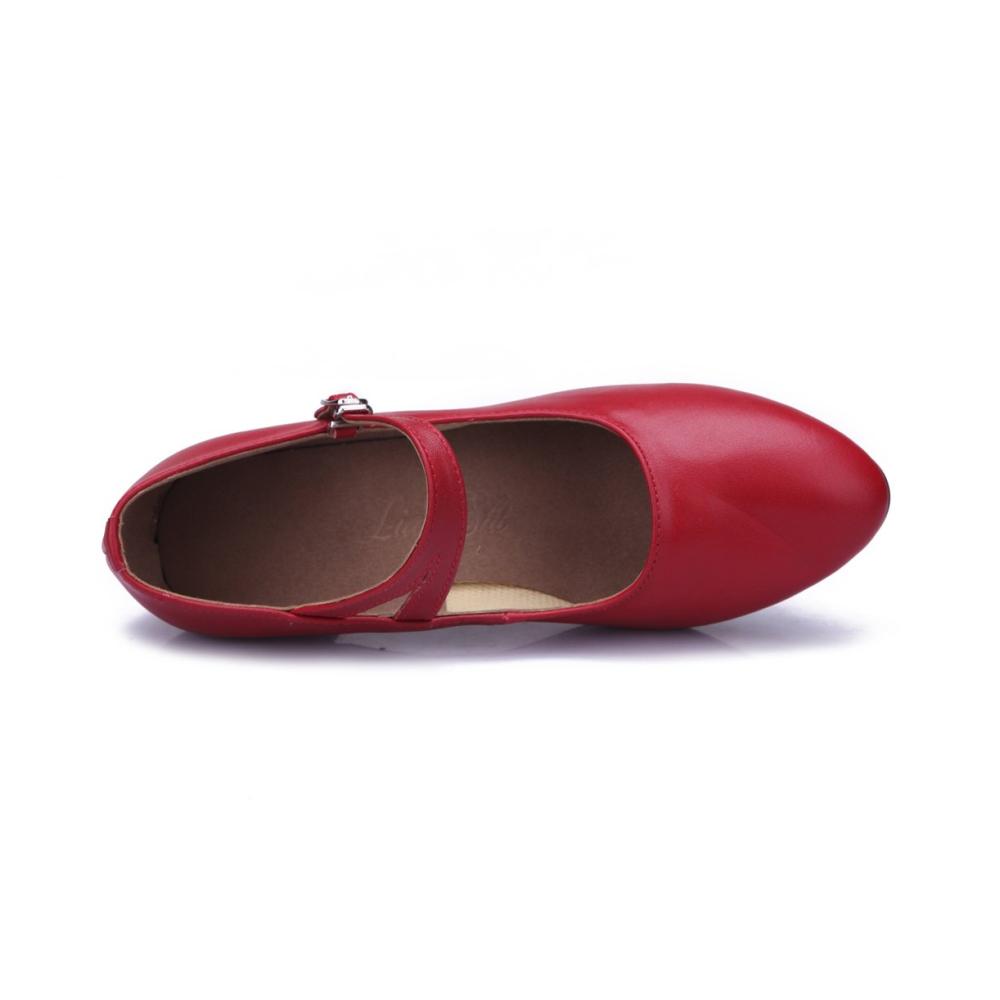 Damen Latein Ballroom Tanzschuhe mit 5.5cm Absatz und rutschfester Gummi Sohle für elegante Tanzbewegungen